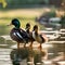 A charming family of ducks waddling in a row along a serene pond, captured in a portrait3