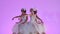 Charming feminine ballerinas dressed as a white swan dance sitting on the top of a cake decorated with flowers. A group