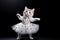 a charming fluffy kitten in a beautiful polka dot dress dancing on a black background,the concept of creative advertising with