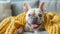 A charming French bulldog wears a comical expression, its wrinkled face conveying warmth and humor