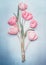 Charming gentle spring tulips bunch in pastel color on blue background, top view. Mock up for springtime holidays