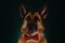 Charming German Shepherd looks like human. Minimalistic greeting card with pet. Gentleman dog with red bow tie, studio