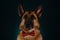 Charming German Shepherd looks like human. Minimalistic greeting card with pet. Gentleman dog with red bow tie, studio