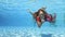 Charming girl relaxing and having fun in the public outdoor pool. She swims in a red dress under the water, and looks at