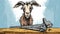 Charming Goat Head Illustration With Scissor Blade - Graphic Novel Style