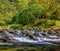 Charming golden yellow forest and valley rapids in Shuangliu National Forest Recreation Area