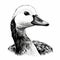 Charming Goose Image: Realistic Animal Portrait In Black And White