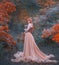 Charming gorgeous girl with fiery red hair stands alone in forest in long light elegant dress with leather corset and