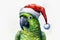 charming green cockatoo parrot in a Christmas hat, advertising banner concept