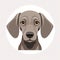 Charming Grey Dog Illustration By William Wegman