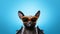 Charming Halloween Bat In Sunglasses - Retro Glamor Illustration