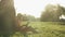 Charming happy lady in hat sitting on grass, leans on big tree and reading book in park on weekend. Woman in dress relaxing in par