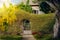 Charming house with vine-covered fence