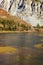 Charming lake Ellery in Yosemite.