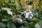 A charming little boy in a plaid shirt is sitting in a vegetable garden with pumpkins. Farming, harvesting. American