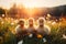 Charming little ducklings enjoying the outdoor scenery with ample copy space on lush green grass