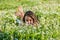 Charming little girl lying amidst blooming meadow