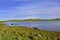 Charming Loch Scene of the Outer Hebrides