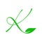 Charming logo design initial K leaf