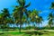 Charming nice view of tropical palm garden with beach and ocean ahead against blue sky background on sunny day