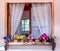 Charming Nostalgia: Colorful Flower Pot on a Wooden Window