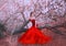 Charming nymph sits on fallen tree in spring forest, lady in gorgeous red scarlet long dress with bare shoulders