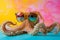 charming octopus in glasses with smart eyes, with tentacles that spread across. Funny octopus wearing sunglasses in studio with a