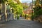 Charming paved street in Rijeka during spring, buildings, trees, walls, sky