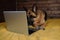 Charming pedigreed domestic dog freelancer with glasses learns using Internet. Black and red German Shepherd is lying on bed on