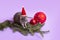 Charming pet. Decorative rat Dumbo with lilac background. Branches spruce, New Year`s toys. Year of the rat. Chinese New Year