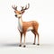 Charming Photorealistic Animated Deer Tail Art