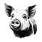 Charming Pig Head Illustration: Organic Realism In Digital Painting Style