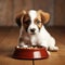 Charming Puppy Enjoying Dog Food from a Bowl. Generative AI