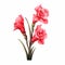 Charming Realism: Pink Gladiolus Clipart On White Background