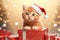 A charming red kitten in a Santa hat sits next to beautifully packaged boxes on a bokeh background