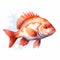 Charming Redfish Watercolor Illustration Detailed Character Clipart