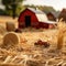 charming retro farm with red barn and bales of straw