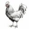 Charming Rooster Illustration In Dark Silver And White