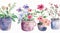 Charming Rustic Flower in Pot Watercolor Collection.