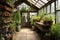 charming rustic greenhouse with colorful potted plants
