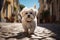 Charming scene Cute Maltese dog stands on a cobblestone street