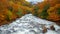 Charming scene of fresh flowing river among beautiful colorful autumn forest for background