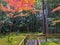 Charming scene of garden with colorful maple trees in front of japanese temple