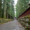 Charming scene of walkway in Nikko`s World Heritage Sites with japanese stone lanterns and fresh green trees , Tochigi , backgrou