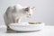 A charming, side-profile image of a cat attentively eating from a stylish, food dish, elegant posture of the feline, set against a