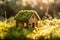 A Charming Springtime Scene: Miniature Wooden House in Verdant Grass, AI Generated