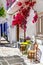 Charming streets of greek islands. Ios