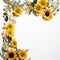 Charming Sunflower Border Serene White