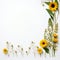Charming Sunflower Border Simple Beauty