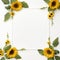 Charming Sunflower Edges Serene White